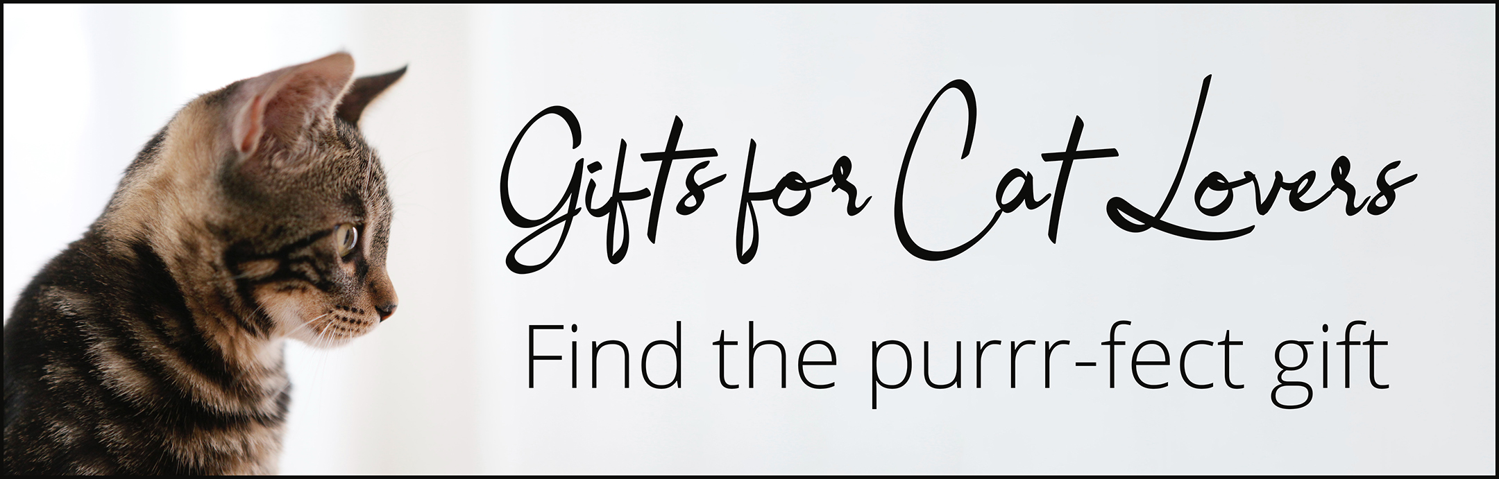 FawPaws Gift | Gifts for cat lovers